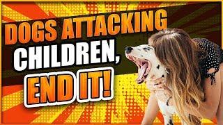 You Can't Blame Dogs For Attacking Children! How To Prevent Dog Bites.