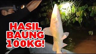 Tangkapan Ikan Baung Gergasi : 100KG Dalam Satu Trip – Kejayaan Mancing Terbesar Tahun Ini! eps #266