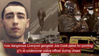 how dangerous Liverpool gangster Joe Cook  jailed for pointing g*n at undercover police officer