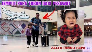 ZALFA NANGIS KEJER RINDU PAPA  JEMPUT PAPA TURUN DARI PESAWAT DI BANDARA | QIFA AGUNG