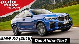 Der neue BMW X6 (2019): Das Alpha-Tier? - Review/Fahrbericht | auto motor und sport