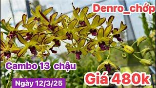 Denro chớp cambo ngày 12/3/25