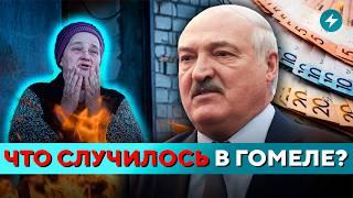 Пострадала вся область! Зачистка на фермах: что происходит? // Новости регионов Беларуси