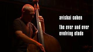 Avishai Cohen - The Ever & Ever Evolving Etude (from the album "Brightlight", Blue Note Tokyo)