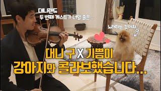 왕벌의 비행 & 사랑의 슬픔 l 대니랜드 두 번째 게스트가 강아지가 될줄은 몰랐네요... 즐거웠다 기쁨아