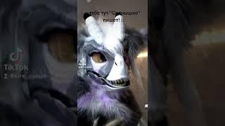 #mask#рек#furries #маска#fypシ#tiktok #раптор#фурсьютер #рекиии                   @cherry3356