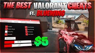 Using The BEST 5$ Cheats In Valorant (ft. BlueWing)