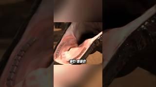 도망쳐도 소용없는 코모도왕도마뱀의 사냥 방식
