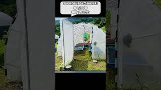 충북 제천 힐링 공간 농막 토지 매매