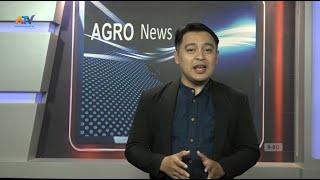 AGROPOLITAN NEWS EDISI 11 DESEMBER 2023 | ATV MALANG RAYA