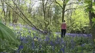 Hartshill Hayes Country Park