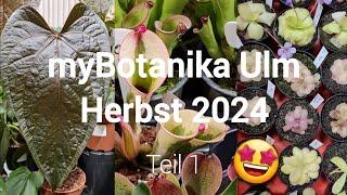 Die erste myBotanika in Ulm  | Herbst 2024  | Teil 1 