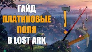 LOST ARK ГАЙД - Платиновые поля. Что это и зачем.