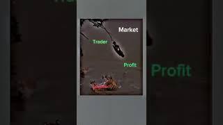 #music #phonk #animals #trading #animals #stockmarkettraining #stockmarkettraining