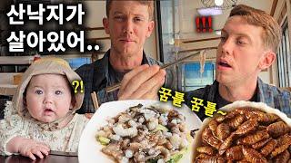 산낙지, 번데기를 처음 먹어본 미국인 남편 찐 반응 (ft 을왕리 해수욕장) Eating LIVE OCTOPUS!