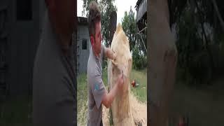 ODDLY SATISFYING VIDEO  5 #shorts Incredible Tech HD