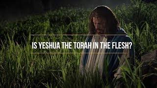 Is Yeshua the TORAH in the Flesh?