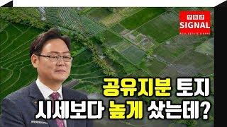 부동산시그널 : 공유지분 토지… 시세보다 높게 샀는데 전망은?