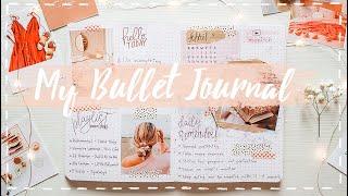 Мой Ежедневник | Bullet Journal - Как Я Веду Ежедневник | m.znitch