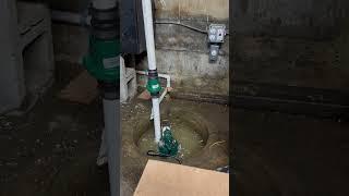 Zoeller M53 - 1/3 HP Cast Iron Submersible Sump Pump w/ Vertical Float Switch and new check valve