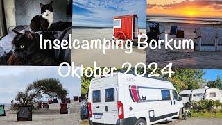 Inselcamping Borkum Oktober 2024, Camping mit 2 Katzen