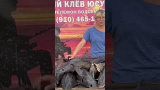 Осетр крупный ленский , платный водоём полный безлимит
