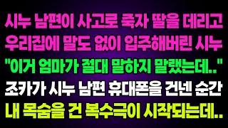 실화사연-시누남편이 사고로 죽자 딸을 데리고 우리집에 말없이 입주해버린 시누 "이거 엄마가 절대 말하지 말랬는데" 조카가 시누남편 휴대폰을 건넨 순간 목숨을 건 복수극이 시작되는데