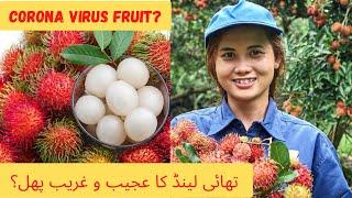 Corona virus fruit?? ll  کرونا وائرس پھل؟؟ ll Abroad Zindagi