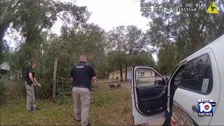 Boy dies after 2 dogs attack in Florida