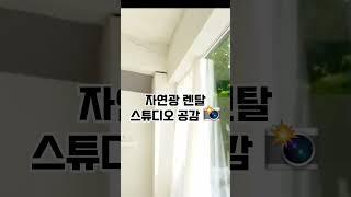 자연광이 빚어내는 마법, 공감 스튜디오에서 촬영해요 #렌탈스튜디오 #스튜디오렌탈 #스튜디오대관 #자연광스튜디오 #스튜디오대여