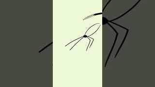 Spider throws it's baby original animation