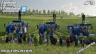 Big GRAPE HARVEST with New Hollands | Haut-Beyleron | Farming Simulator 22 Multiplayer | Episode 3