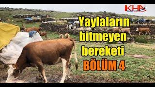 Yaylaların bitmeyen bereketi - BÖLÜM 4