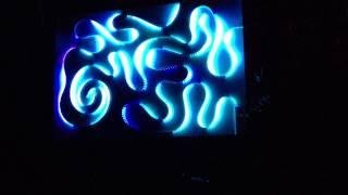 PanChromatics at Frolic 2013