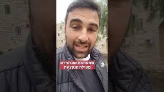 מהם שלושת סוגי החרמות הקיימים בנוער בישראל - דניאל חסיד פרויקטים בחינוך
