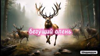 Бегущий олень #игрыпятизверей #цигун #цигунонлайн #цигундляначинающих