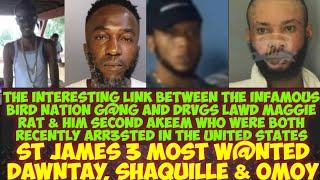 The Criminal Connection Between Drvgs Lawd Maggie Rat & The Bird Nation G@NG