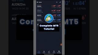 How to Trade On Mt5 #metatrader5 #mt5 #forex #crypto