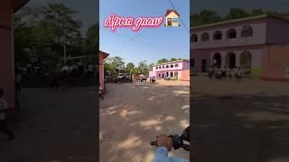 ️ hamar gav ️