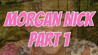 What Happened to Morgan Nick -- PART 1