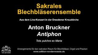 Bruckner I Antiphon -Tota pulchra es Maria I Sakrales Blechbläserensemble I Live