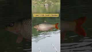 Carp Fishing Bait #shorts #fishing #tutorial