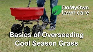 Overseeding Basics: How to Revive Your Cool-Season Lawn | DoMyOwn.com