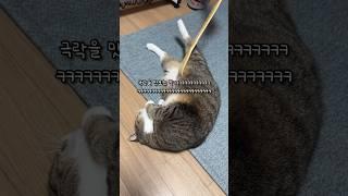 효자손 사용법