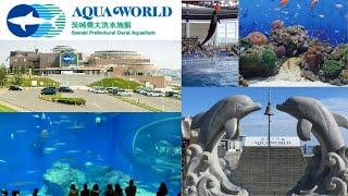 Aqua World Ibaraki Oarai Aquarium #japan #travel