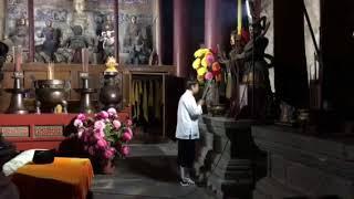 Wudang ceremonia taoísta en el Templo de la Nube Púrpura