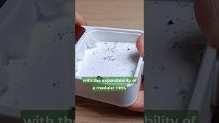 Quick WAKOOSHI VENUS NEST Review! 