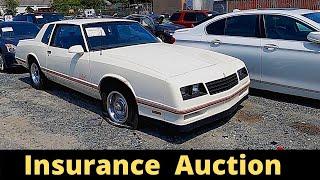 Insurance Auto Auction Lot Walk-Around