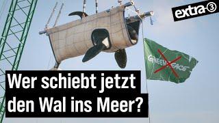 Grüne Ikone verblasst: Ein Blick auf Greenpeace | extra 3 | NDR