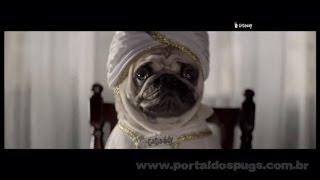 GoDaddy - "Guru" - Comercial de TV - Propaganda com Pug